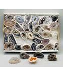 Flat of Agate Geode