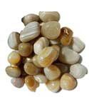 1 lb Banded Agate tumbled stones