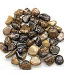 1 lb Stromatolite (onyx Brown) tumbled stones