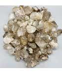 ~3# Flat of Quartz, Alligator